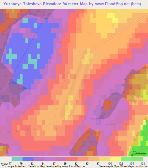 Yuzhnoye Toleshevo,Russia Elevation Map