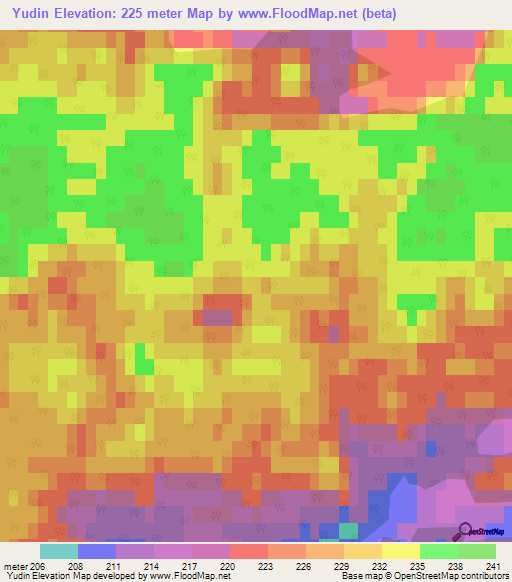 Yudin,Russia Elevation Map