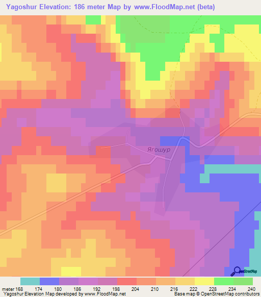 Yagoshur,Russia Elevation Map