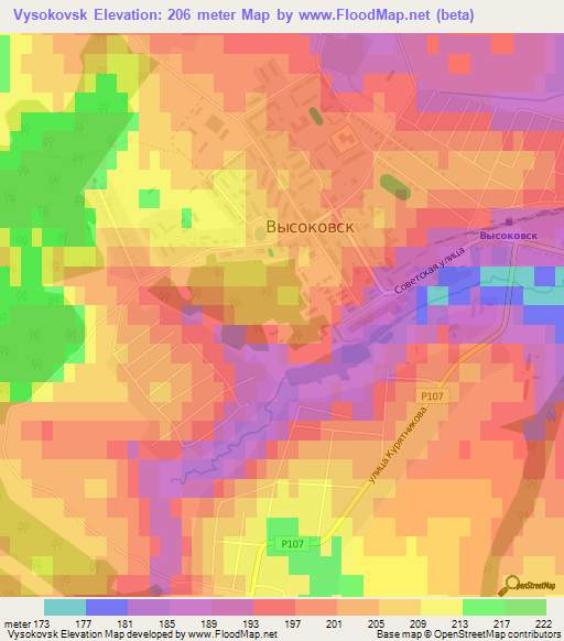 Vysokovsk,Russia Elevation Map