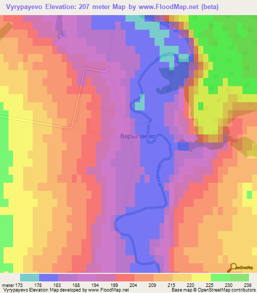 Vyrypayevo,Russia Elevation Map