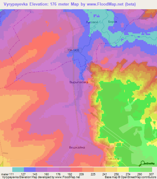 Vyrypayevka,Russia Elevation Map