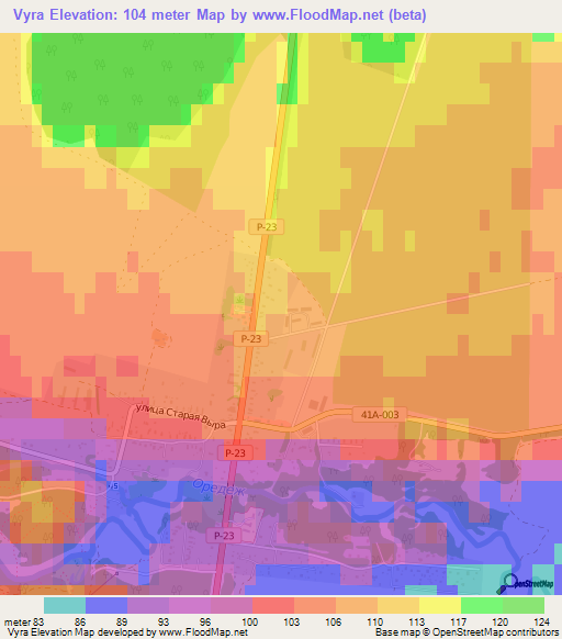 Vyra,Russia Elevation Map