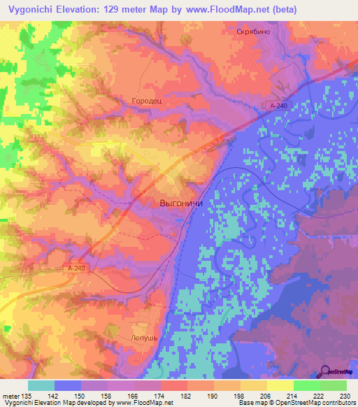 Vygonichi,Russia Elevation Map