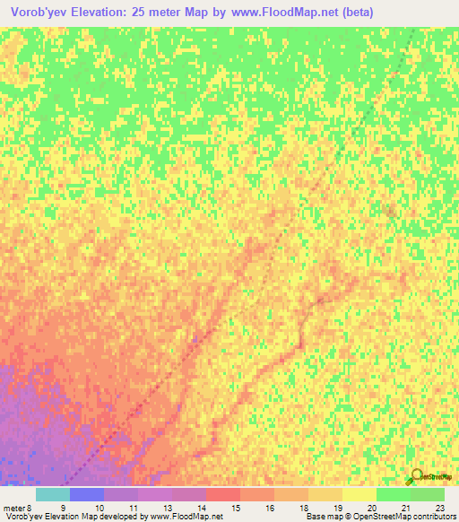 Vorob'yev,Russia Elevation Map