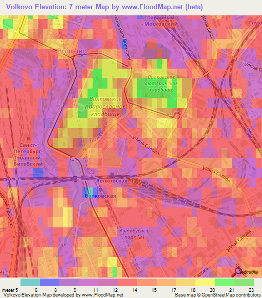 Volkovo,Russia Elevation Map