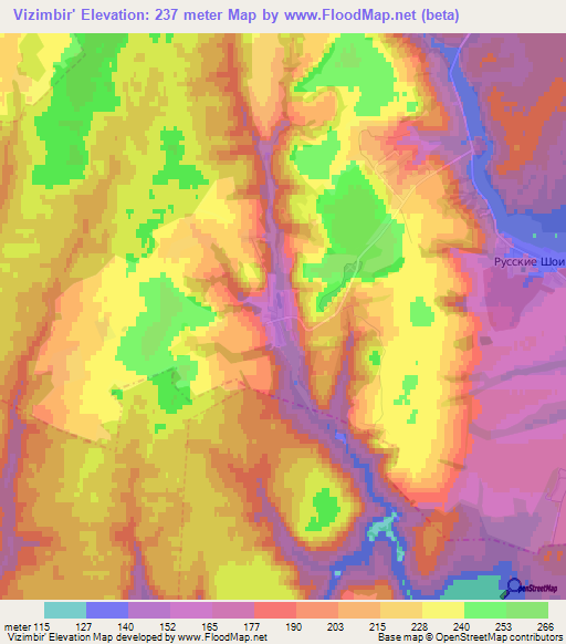 Vizimbir',Russia Elevation Map