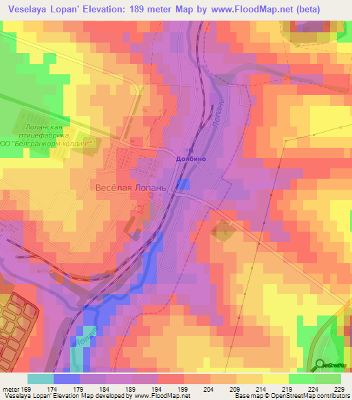 Veselaya Lopan',Russia Elevation Map