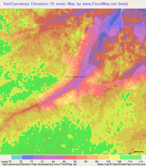 Vasil'yevskoye,Russia Elevation Map