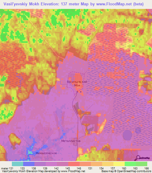 Vasil'yevskiy Mokh,Russia Elevation Map