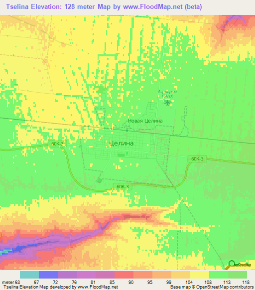 Tselina,Russia Elevation Map