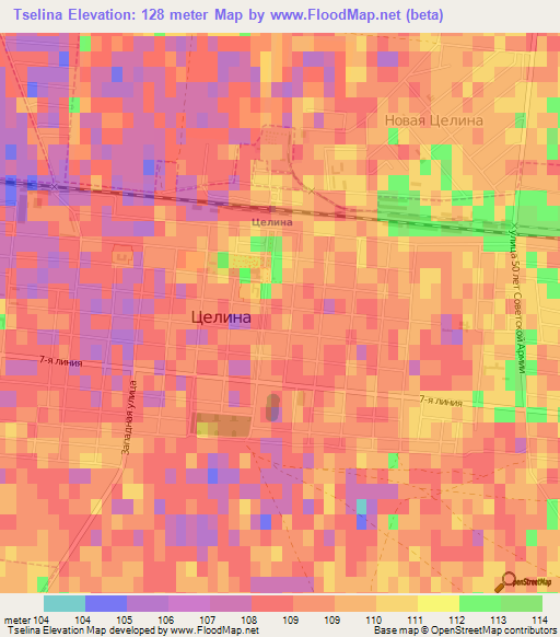 Tselina,Russia Elevation Map