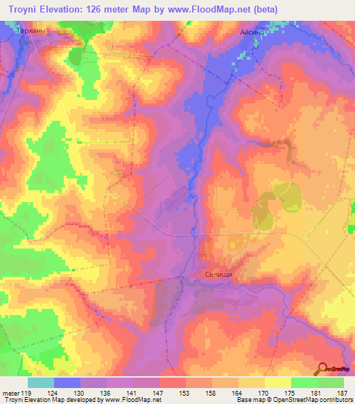 Troyni,Russia Elevation Map