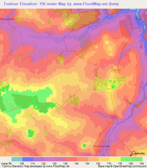 Toshnur,Russia Elevation Map