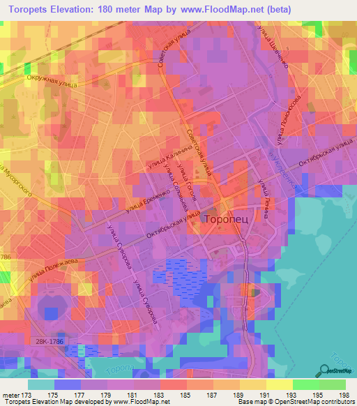 Toropets,Russia Elevation Map