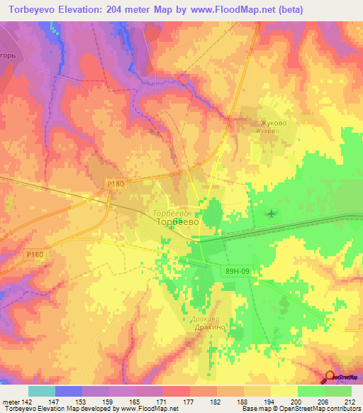 Torbeyevo,Russia Elevation Map