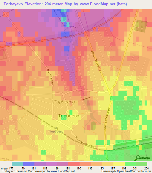 Torbeyevo,Russia Elevation Map