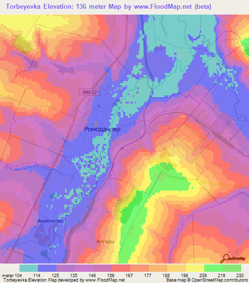 Torbeyevka,Russia Elevation Map