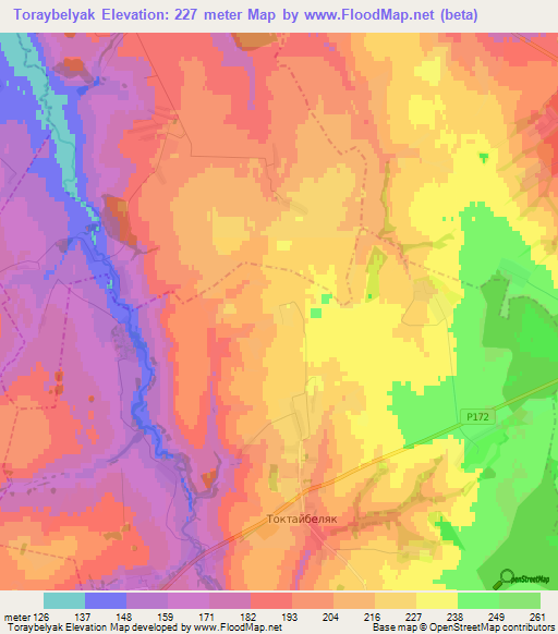 Toraybelyak,Russia Elevation Map