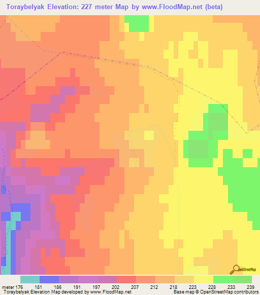 Toraybelyak,Russia Elevation Map