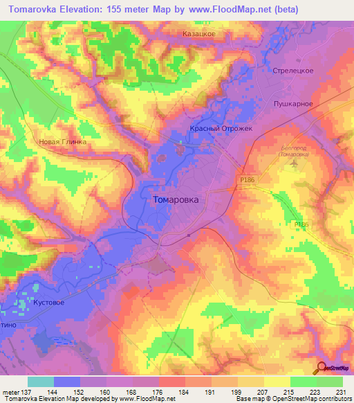 Tomarovka,Russia Elevation Map