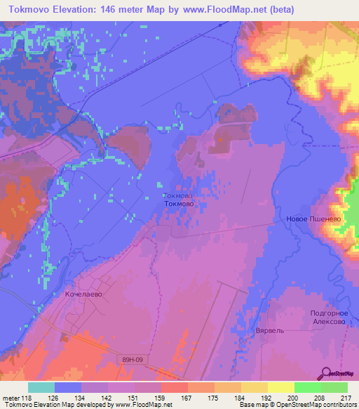 Tokmovo,Russia Elevation Map