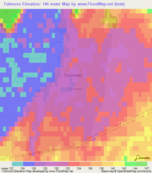 Tokmovo,Russia Elevation Map