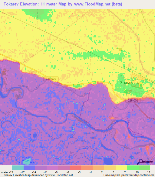 Tokarev,Russia Elevation Map