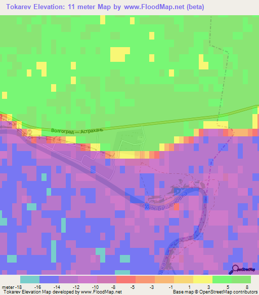 Tokarev,Russia Elevation Map