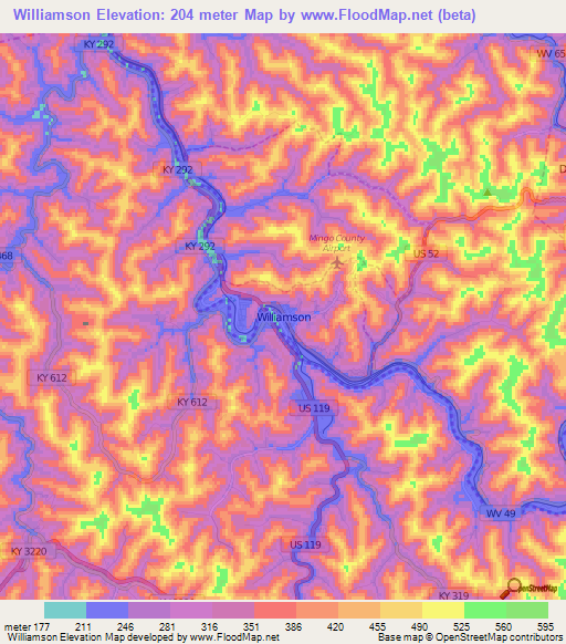 Williamson,US Elevation Map