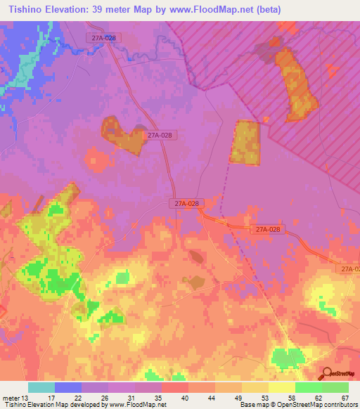 Tishino,Russia Elevation Map