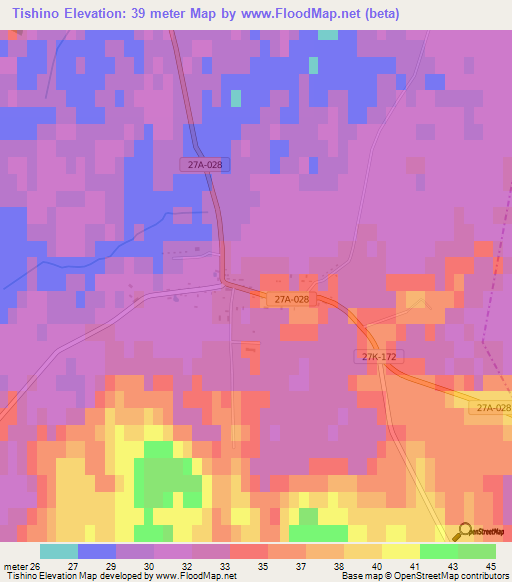 Tishino,Russia Elevation Map