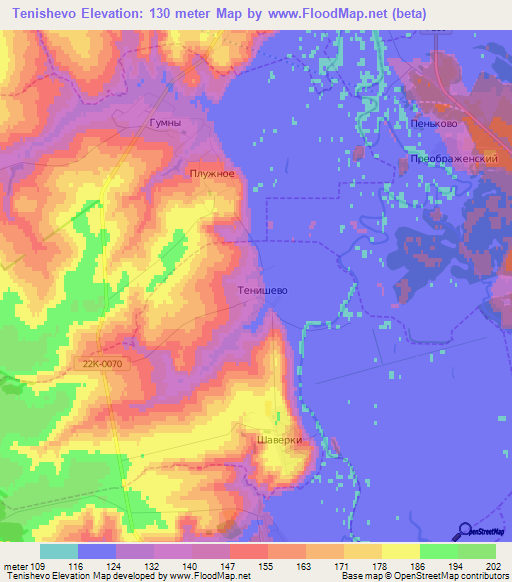 Tenishevo,Russia Elevation Map