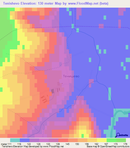 Tenishevo,Russia Elevation Map