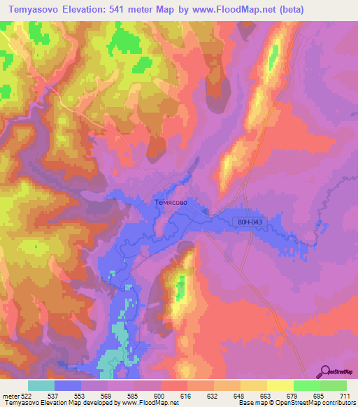 Temyasovo,Russia Elevation Map