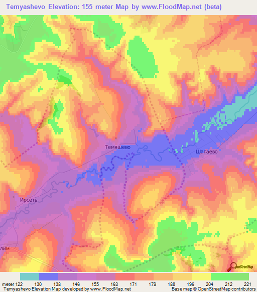 Temyashevo,Russia Elevation Map