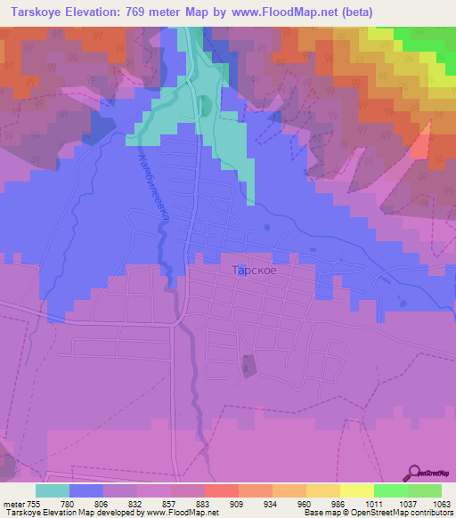 Tarskoye,Russia Elevation Map