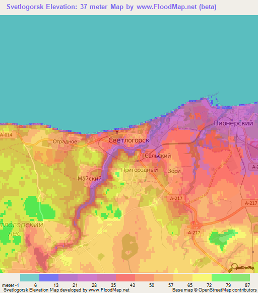 Svetlogorsk,Russia Elevation Map