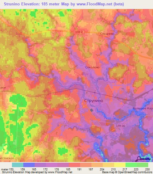 Strunino,Russia Elevation Map