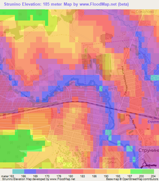 Strunino,Russia Elevation Map