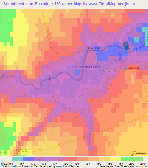 Starotimoshkino,Russia Elevation Map