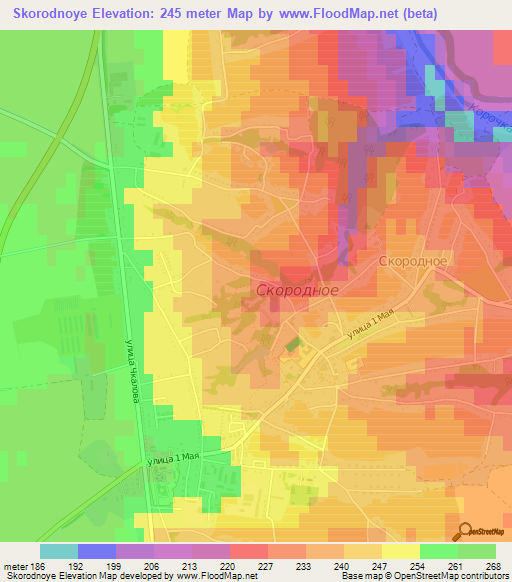 Skorodnoye,Russia Elevation Map