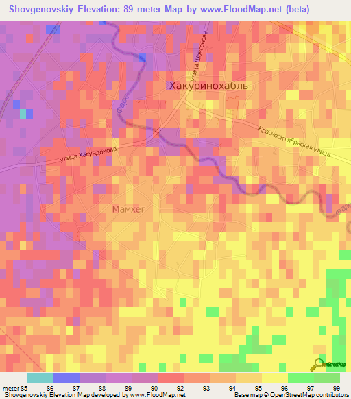 Shovgenovskiy,Russia Elevation Map