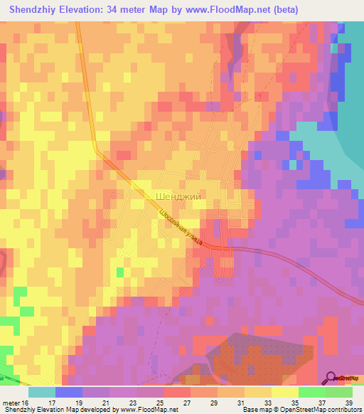 Shendzhiy,Russia Elevation Map