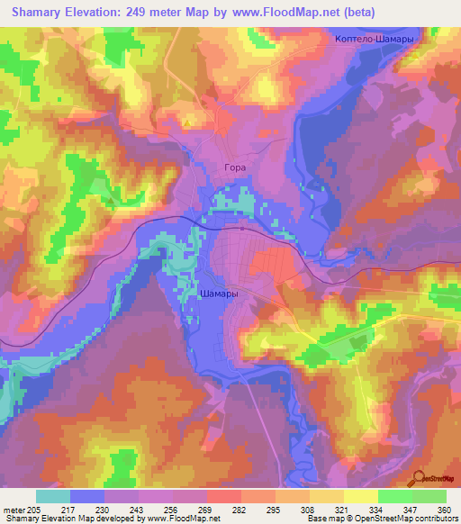 Shamary,Russia Elevation Map