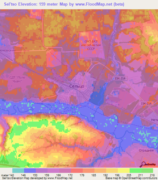 Sel'tso,Russia Elevation Map