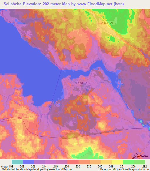 Selishche,Russia Elevation Map