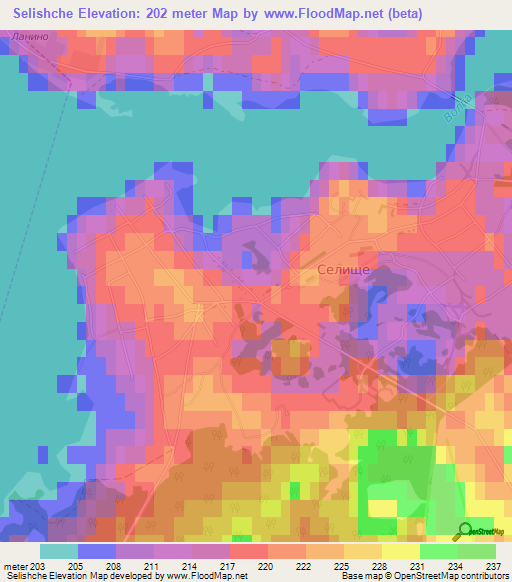 Selishche,Russia Elevation Map