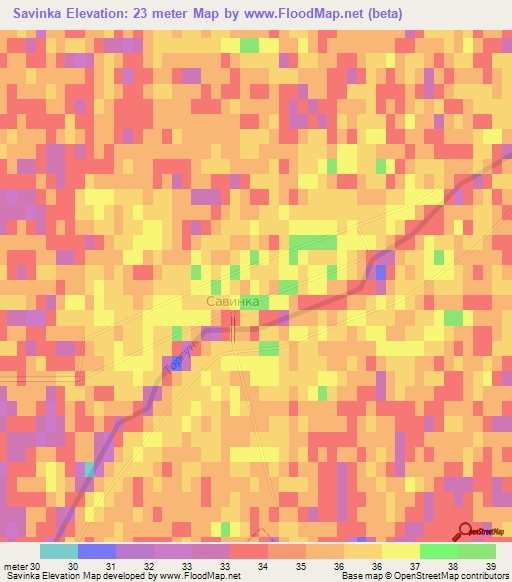 Savinka,Russia Elevation Map