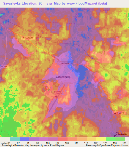 Savasleyka,Russia Elevation Map